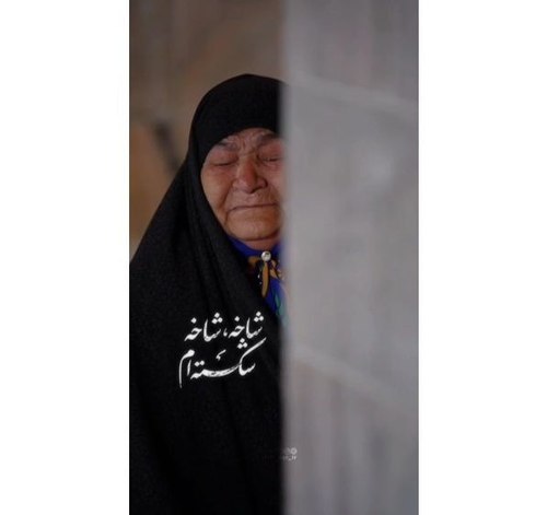 ریلز |شاخه شاخه شکسته‌ام