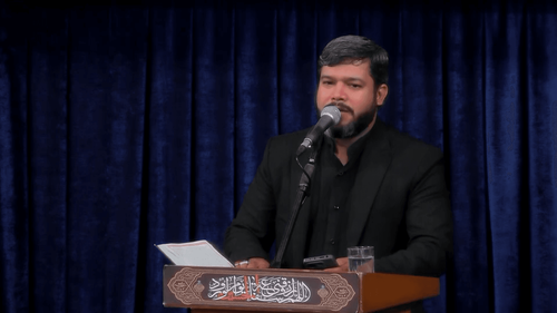 نخل زردم جوانه می خواهم