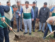 کاشت نهال به مناسبت روز درختکاری