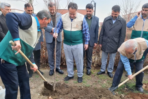 کاشت نهال به مناسبت روز درختکاری